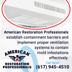 Ventilation Systems to Contain Mold Infestations.png