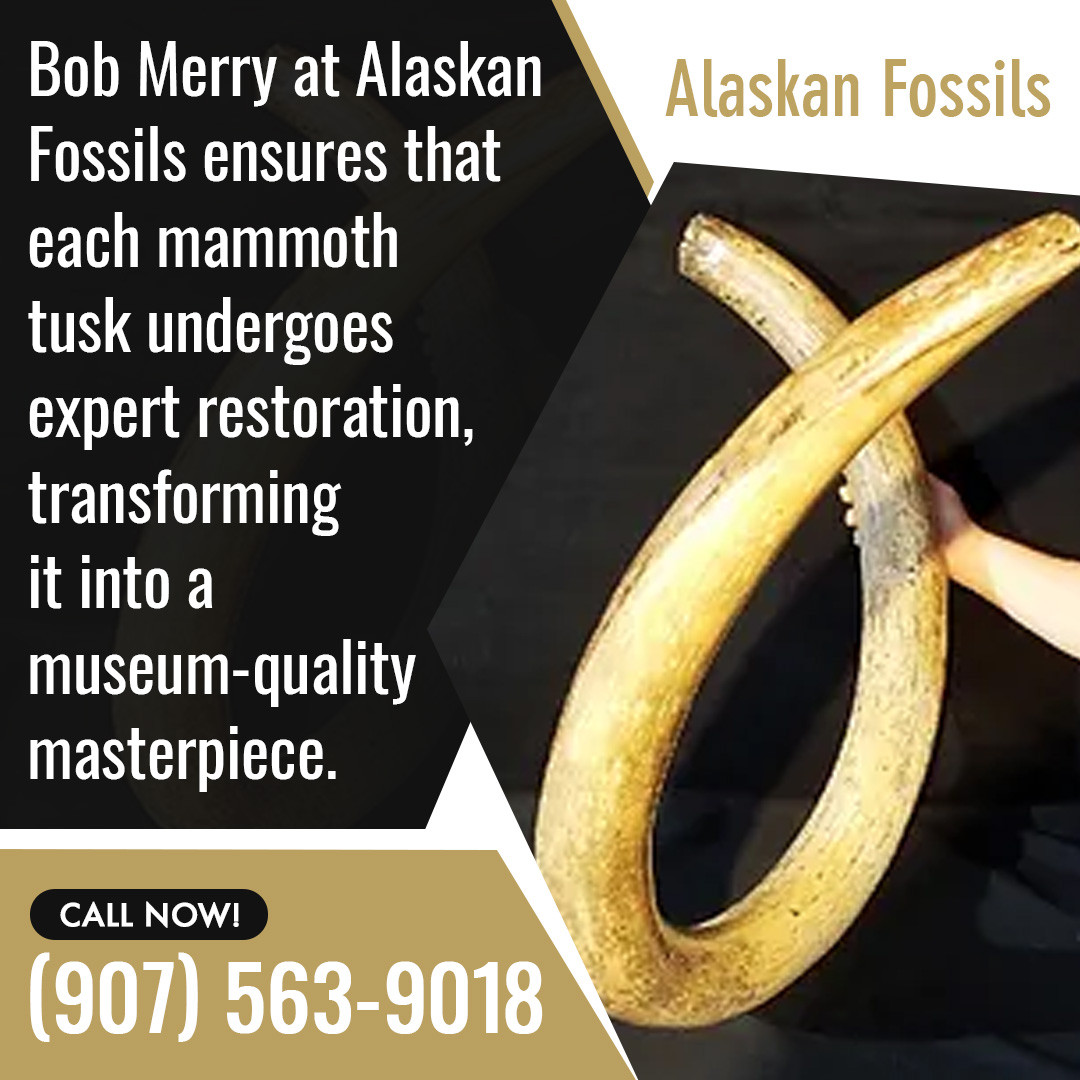 TROPICAL FOSSILS IN ALASKA visual data 4
