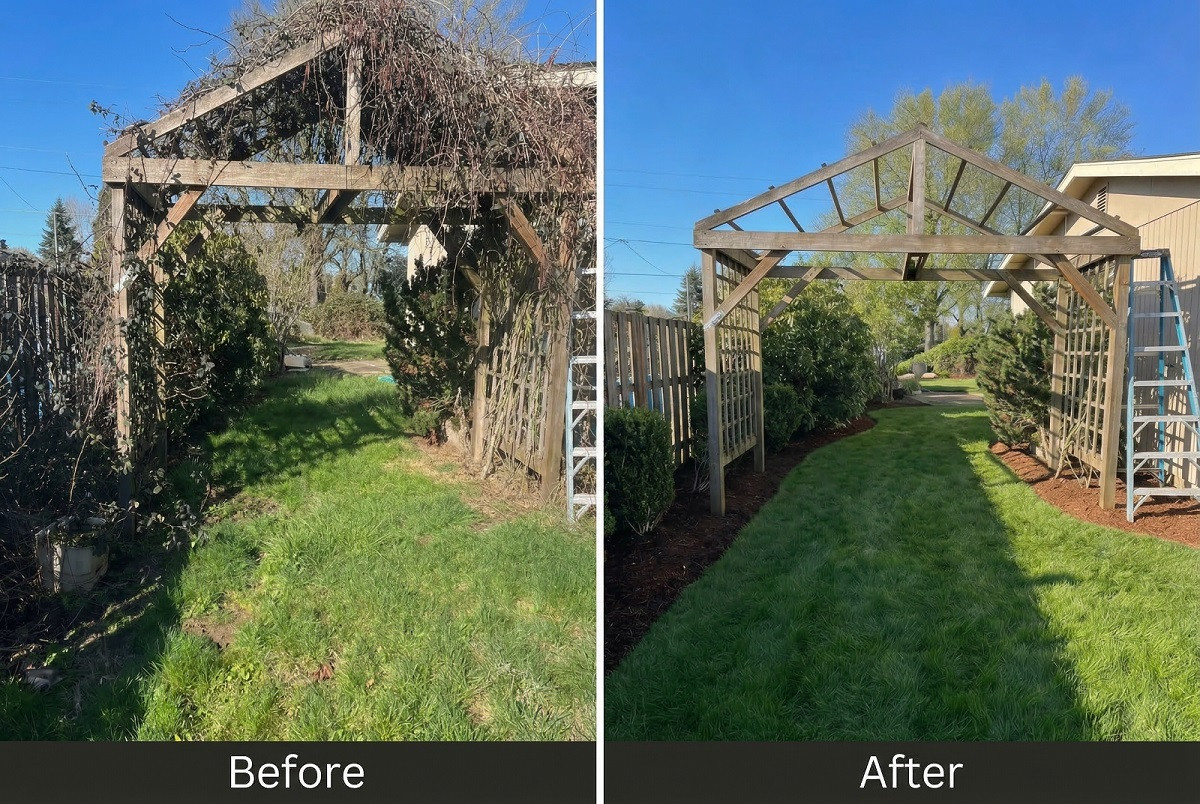 Noosh Helps Mid-Valley Landowners Reclaim Overgrown Property