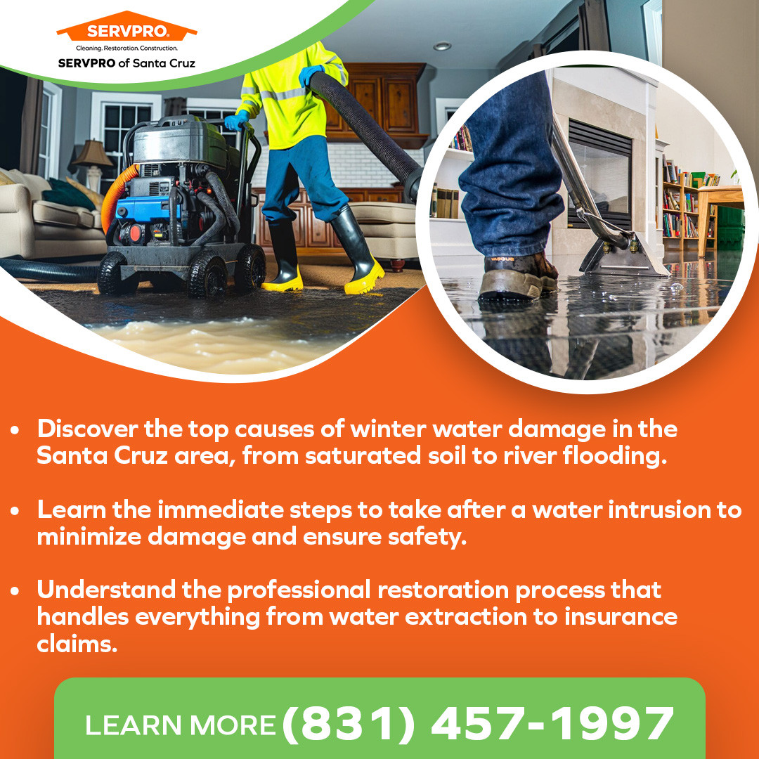 Professional water damage restoration