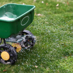 cost-guide-weed-control-and-fertilization-services-in-indianapolis-in-ezgif.com-webp-to-jpg-converter.jpg