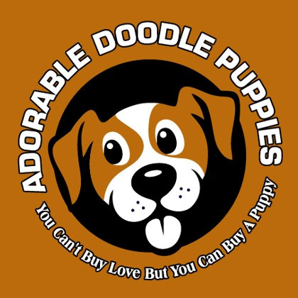 Adorable Doodle Puppies