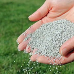 How Homeowners in Indianapolis Improved Lawn Health with the Right Fertilization Choice.jpg