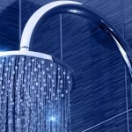 ecoshowerhead.jpg