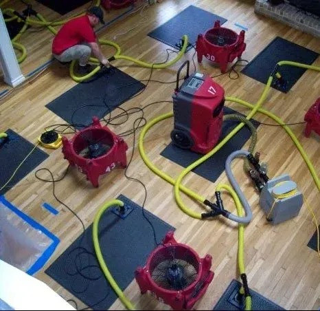 Expert Water Damage Restoration Services Available in Austin