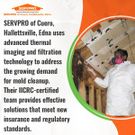 servpro-cuero-mold-remediation-texas 2 (ver 2).jpg