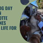 PR MONTH OF JULY  (31).png