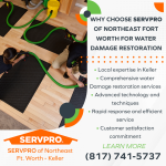 SERVPRO-of-Northeast-2.png