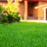 unique-lawn-maintenance-strategies-in-little-elm-tx-ezgif.com-webp-to-jpg-converter.jpg
