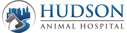 Hudson Animal Hospital