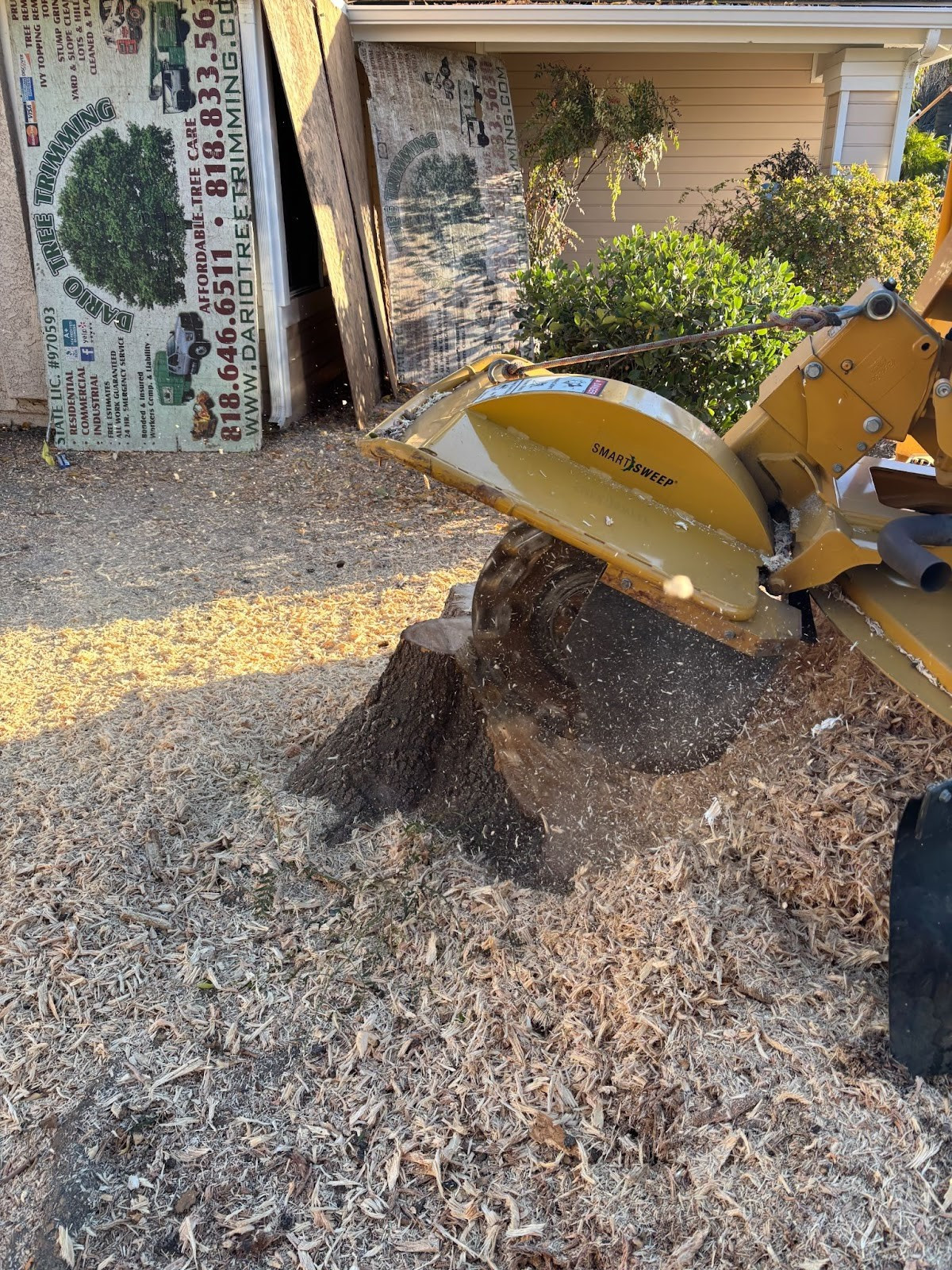 stump grinding services in Sylmar