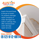 Austin Fire and Flood 4.png