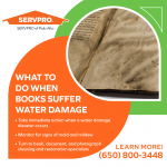 SERVPRO of Palo Alto Graphic 4 (2).png