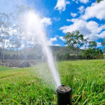 ezgif.com-webp-to-jpg-converter (3).jpg