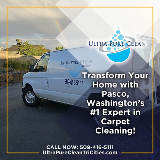 Go Green Professional Carpet Cleaners' EcoFriendly Solutions for a Better Home NORTHEAST