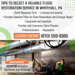 SERVPRO-of-Easton,-Bethlehem-1211-(5).png