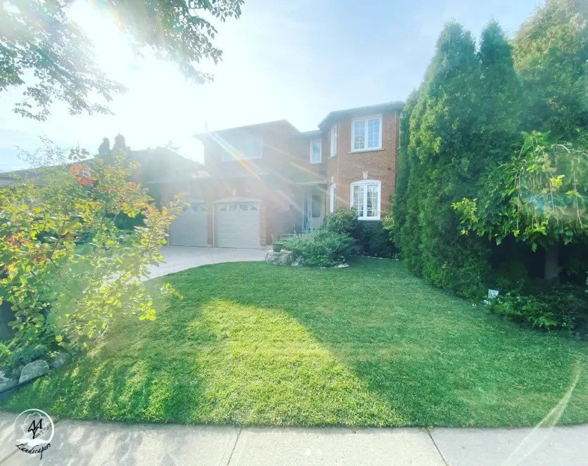 “Instant Curb Appeal” Secret: Why Professional Sodding is the #1 ROI Investment