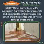 SERVPRO-of-Carrollton-1123-(1).png