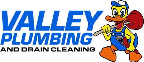 Valley Plumbing and Drain Cleaning