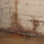 accurate-basement-repair-basement-mold-2.jpg