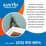 Austin Fire and Flood Graphic 4 (1).png