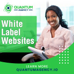 Quantum Agency 1 (1).jpg