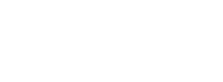 TS Luxury Service