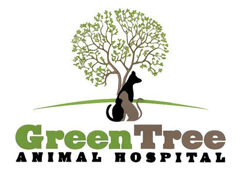 Green Tree Animal Hospital