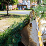 Untitled design (23).png