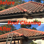 roof-cleaning-service before and after.jpg