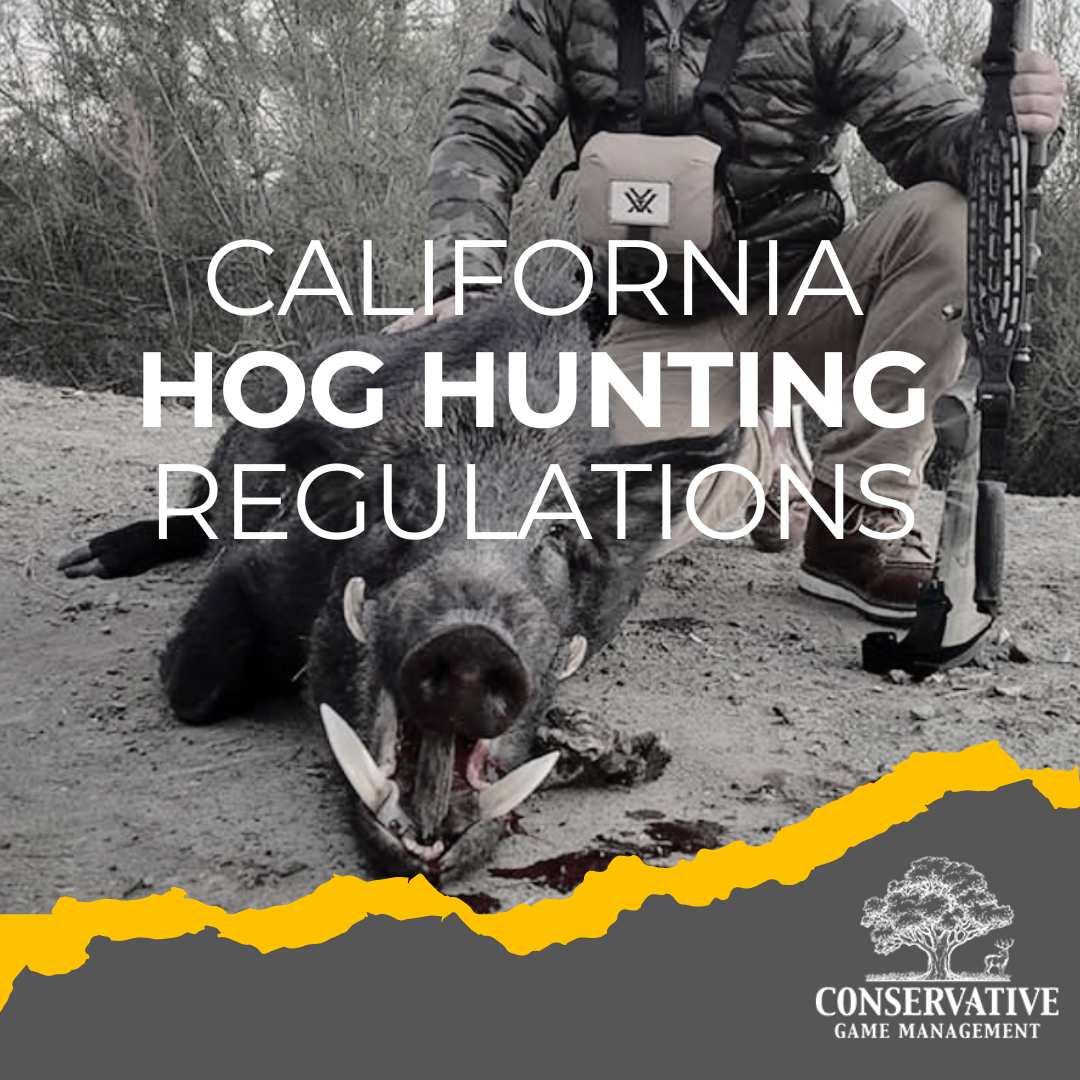 California Hog Hunting Regulations Know Before You Go Hog Hunting WICZ