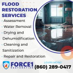 Flood Restoration Services.png