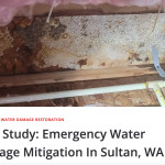 Water damage mitigation in sultan wa.jpg