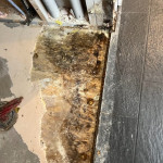 Water Damage in Bathroom.jpg