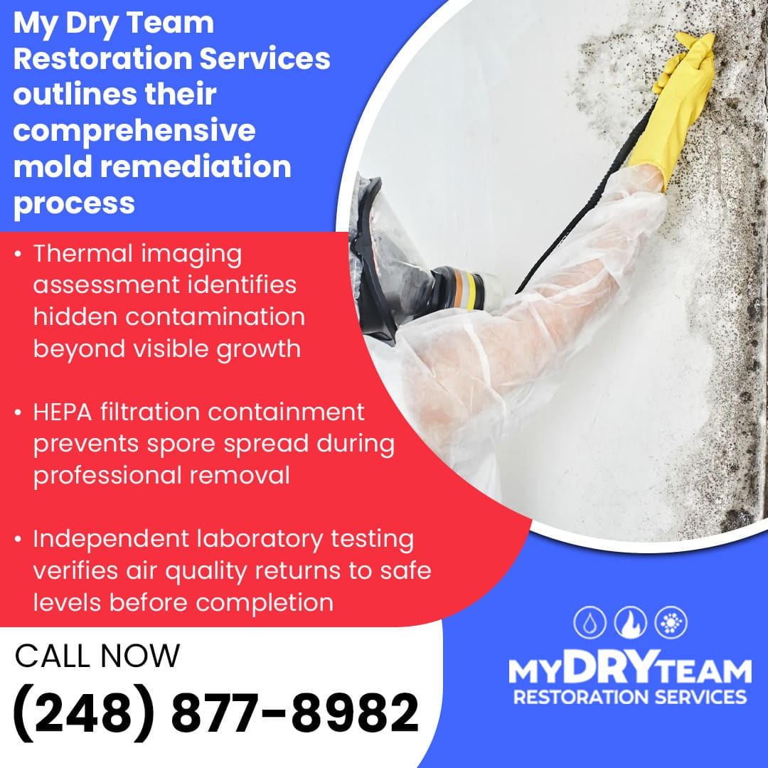 Mold remediation process