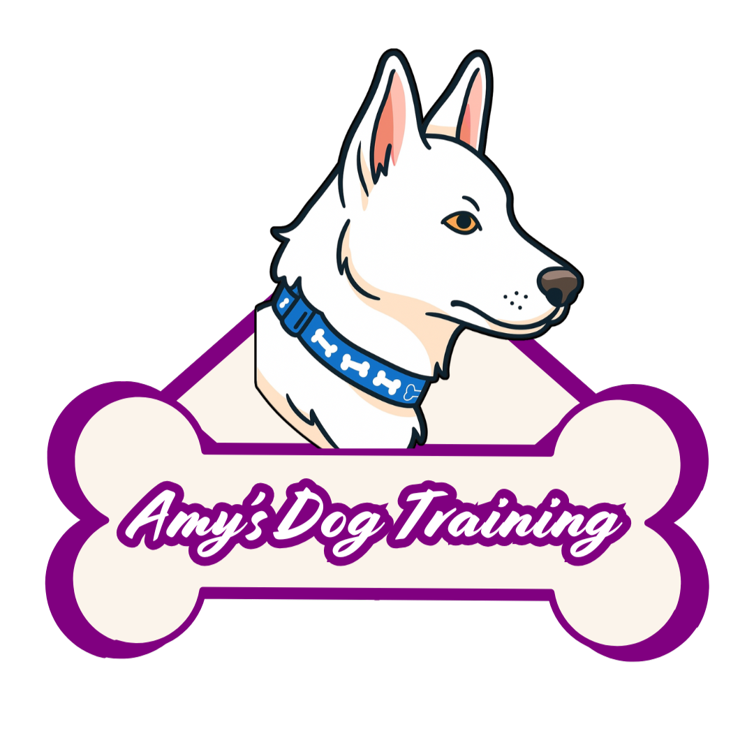 Amy's Dog Training