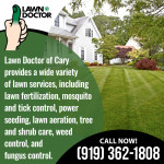 Lawn Doctor 2.jpg
