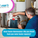 Water Heater Maintenance Lynns HVAC Plumbing Winnipeg.png