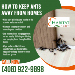 Habitat Pest Control 5.png