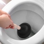 cloggedtoilet.jpg