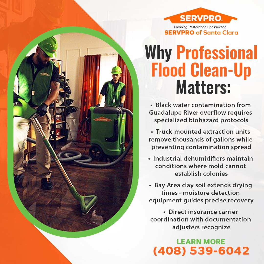 Professional Flood Clean-up