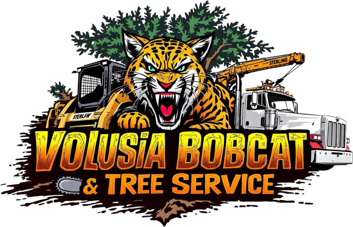 Volusia Bobcat & Tree Service LLC