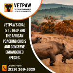 Vetpaw PR Image 2.png