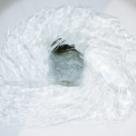thefirstflush.png