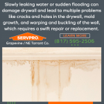 SERVPRO-of-Grapevine-0522-(1).png