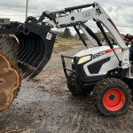 tree_removal_and_land_clearing.jpg