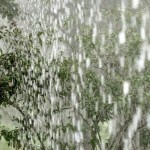 heavyrain.jpg