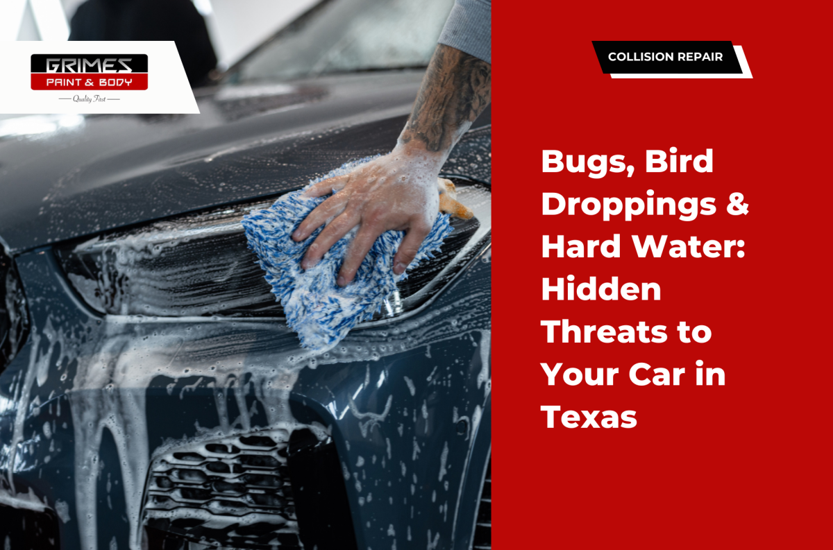 Grimes Paint & Body Warns Texas Drivers About Bugs, Bird Droppings & Water