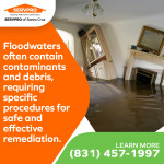 SERVPRO of Santa Cruz 1.jpg