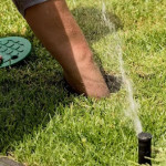 Irrigation Service in Indianapolis, IN - The Benefits of Regular Annual Maintenance.jpg